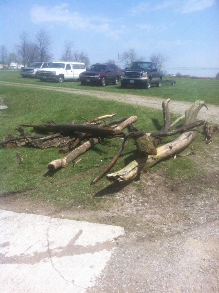 30+ logs taken in clean up!